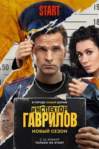 Инспектор Гаврилов (1 сезон) 13 серия